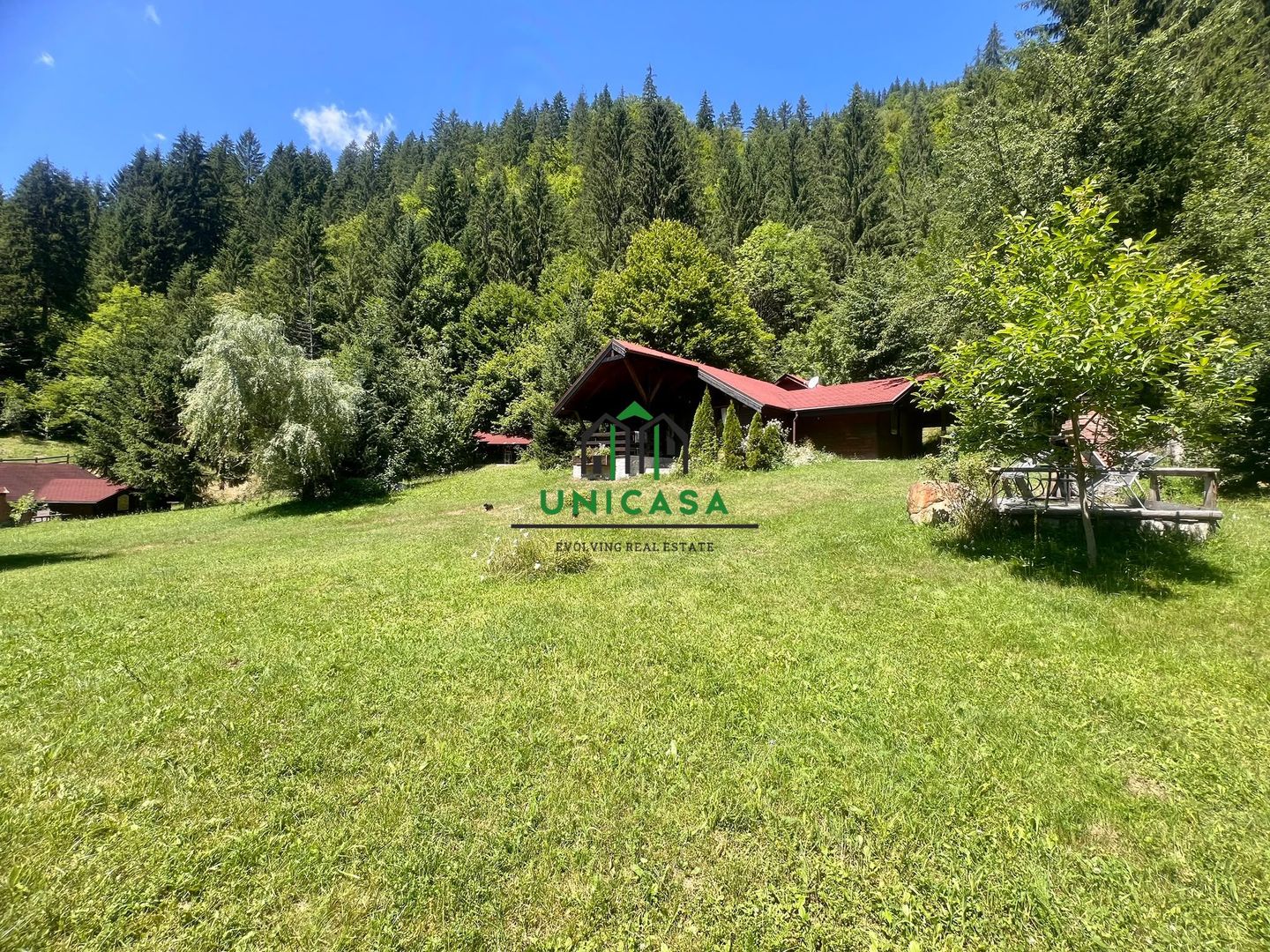 Proprietate deosebita de vanzare – Voinesița, Comuna Voineasa - Poză 7