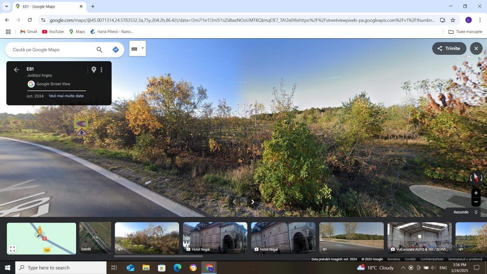 Vanzare teren 10000 mp, stradal DN 7, Moraresti - Poză 4