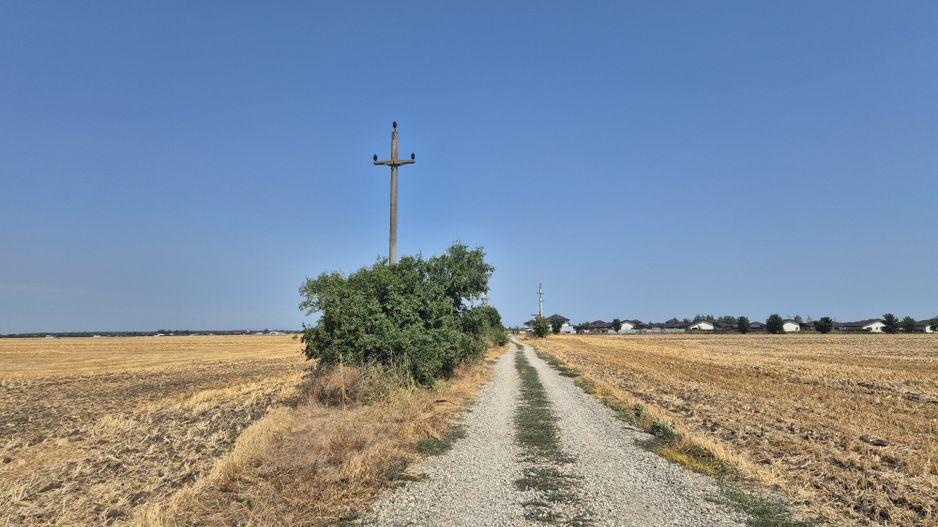 Teren intravilan 4428 mp - Balotesti - Poză 3