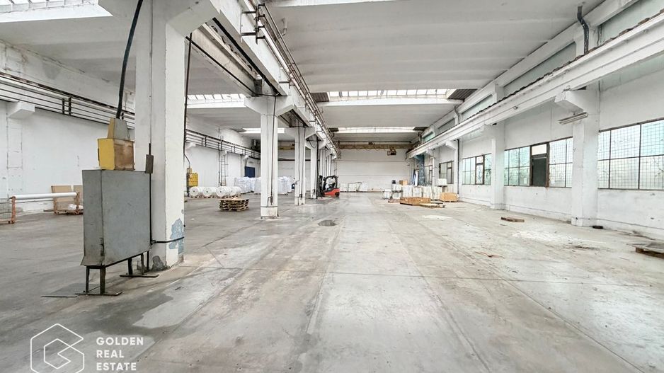 Hala industriala cu pod rulant, Sanicolau Mic, suprafata 1.187 mp - Poză 6