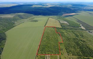 Teren Agricol, 11 HA, Bulăiești, Orhei