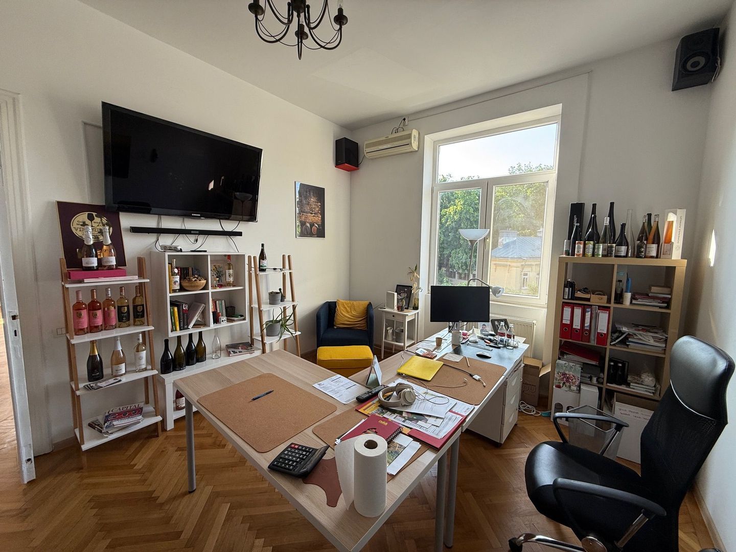 VILA LOCATIE UNICA GRADINA ICOANEI - Poză 8