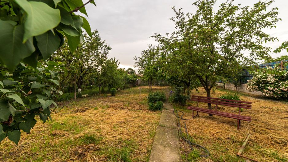 Casa de vis pentru seniori-Pârneava Arad - Poză 14