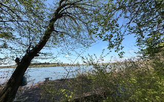 TEREN 7000 MP| DESCHIDERE 40 ML | INTRAVILAN-PADURE | POT 5% | TEREN UNIC | - Poză 1