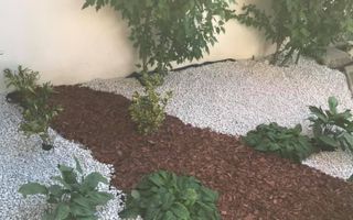 Casă / Vilă cu 6 camere + Casa/Vila cu 2 camere | zona Terezian - Poză 18