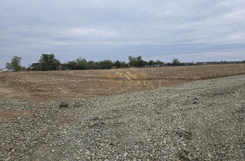 Oportunitate de investitie! Comuna Berceni/Vidra - Poză 4