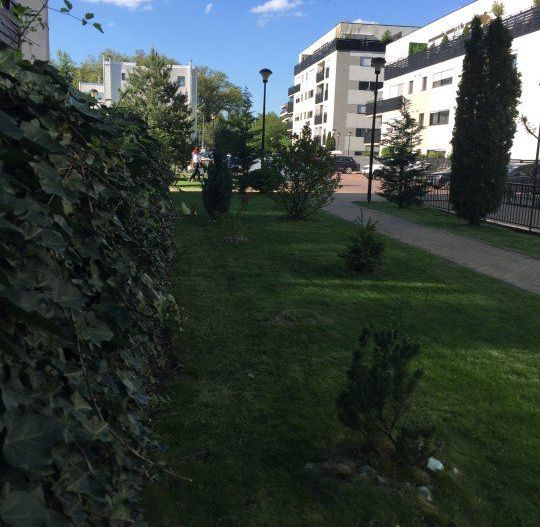 Apartament 3 Camere Lux | Baneasa | Natura Residence - Poză 14