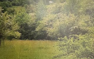 Teren Extravilan I Deschidere 80ml I Zona Gusterita-Sibiu - Poză 1