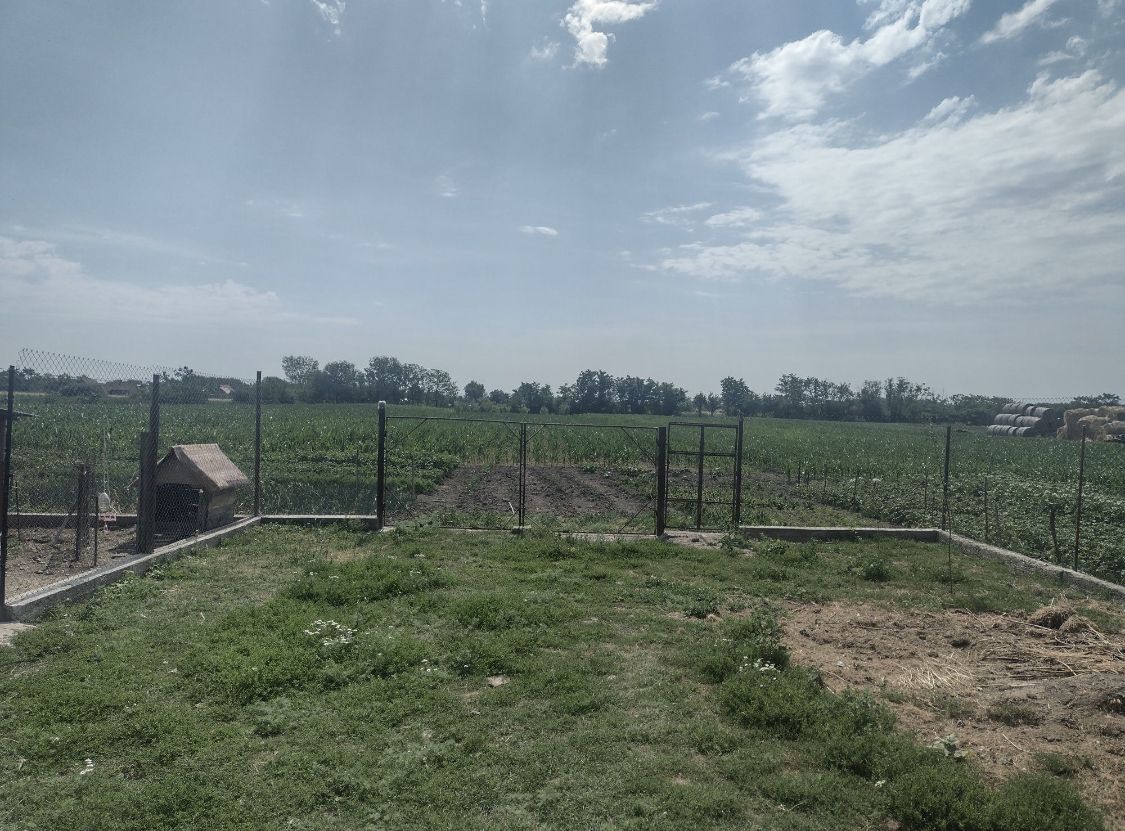 Vand urgent Casa (Boghis SM) sau schimb cu aprtament - Poză 3