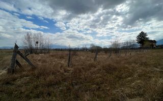 3600 mp Teren pentru investitii - Poză 3