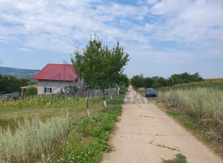 Teren intravilan construibil, 1.219 mp, zona Chicirea/Tomești, 25 euro/mp - Poză 2