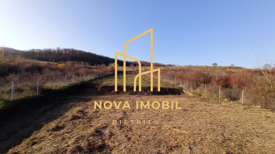 Teren Viisoara 27 ari - Poză 2