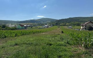 Teren intravilan de vanzare, Alba-Micesti - Poză 3