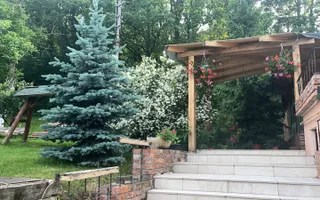 Spatiu restaurant/ evenimente  – Copou- complet echipat/ amenajat - 1000mp+ - Poză 19