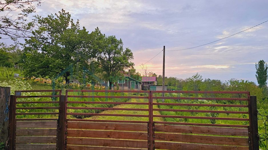 Casă de vânzare în satul Roșu, comuna Răducăneni, județul Iași – teren 5.000 mp cu livadă și vie - Poză 3