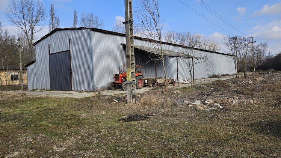Vanzare amplasament industrial-servicii Tatarasti, Teleorman - Poză 10