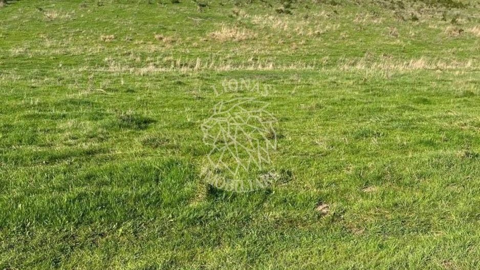 Teren 3300 mp-investitie, case de vacanta, agricultura-Valea Sigmirului - Poză 3