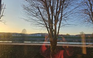 Apartament de vanzare 2 camere Aleea carpati etaj 1 - Poză 7