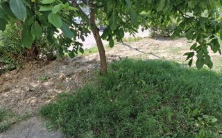 țApartament cu 2 camere de vânzare în zona Mioritei - Poză 16