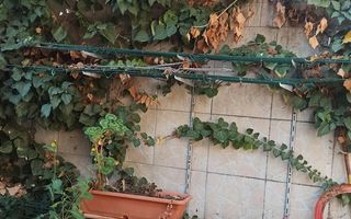 De vanzare Casa individuala singur la curte, Mihail Sebastian, CENTRAL - Poză 6