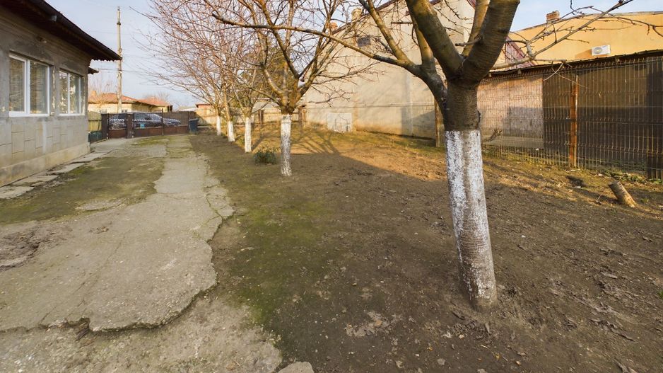 Casa modesta, 2500 mp teren, Domnesti - Poză 8