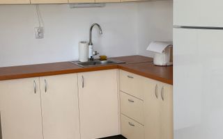 Vila noua, metrou Jiului - Poză 8