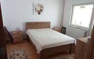 Apartament 3 camere, confort 0, etaj intermediar, Casa de Cultură - Poză 6