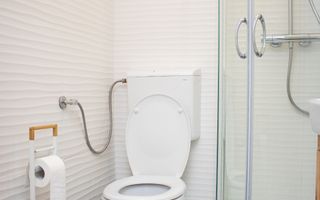 Apartament 3 camere | Etaj 1 | Renovat | Curte | Central - Poză 11