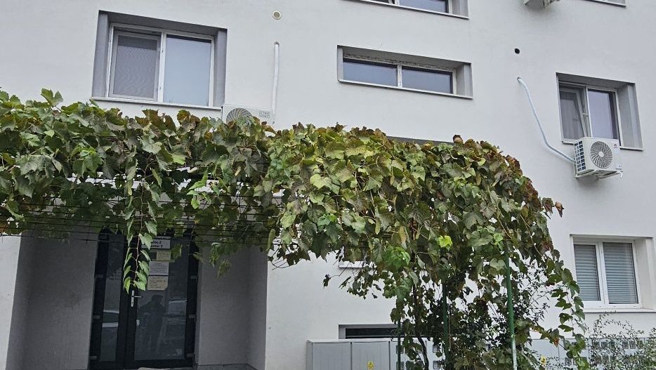 Garsoniera - metrou 1 Decembrie - Theodor Pallady - Poză 8