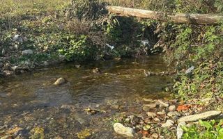 Teren mixt de vânzare Crasna Gorj, aproape de Rânca– 19.209 mp - Poză 7
