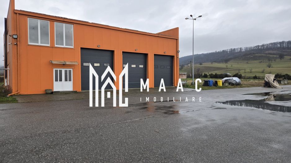 Imobil industrial I 448 mp I Teren 12.000 mp I Bradu I De Inchiriat - Poză 1