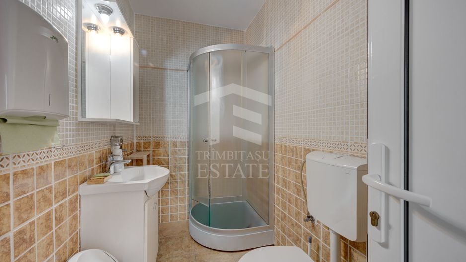 3 IMOBILE - LOT 676 MP - RECONSOLIDATE - ROMANA VICTORIEI - DOROBANTI - Poză 3