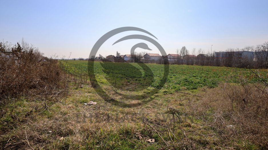 Teren de vanzare/inchiriere | 7800mp | Parcul Industrial | COMISION 0% - Poză 5