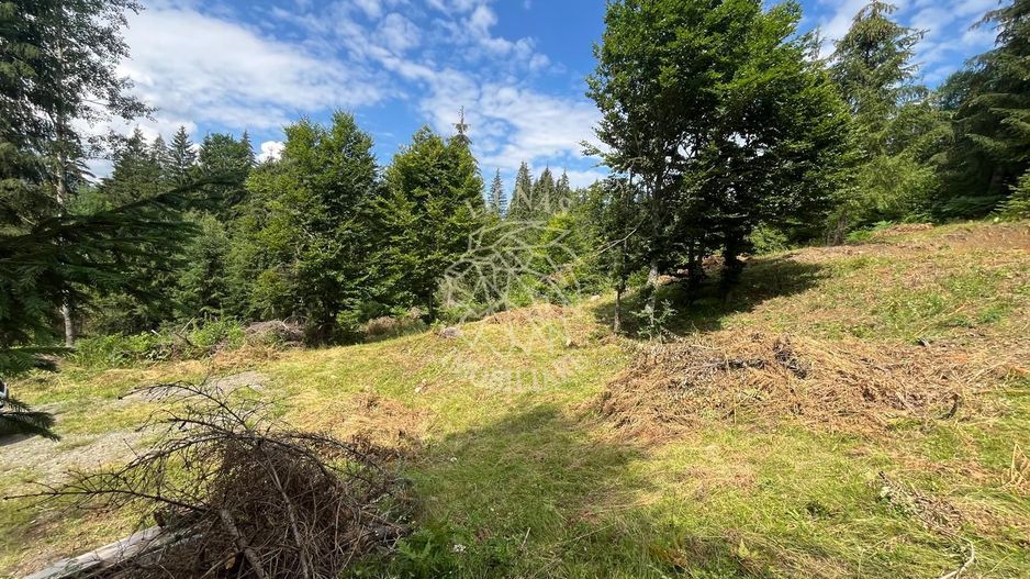 Teren intravilan 1074 mp cu utilitati-ideal pensiune, cabane-Colibita - Poză 2