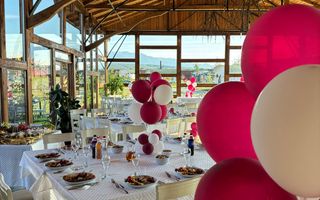 Închiriere Spațiu Comercial – Restaurant - Valea Avrigului - Poză 3