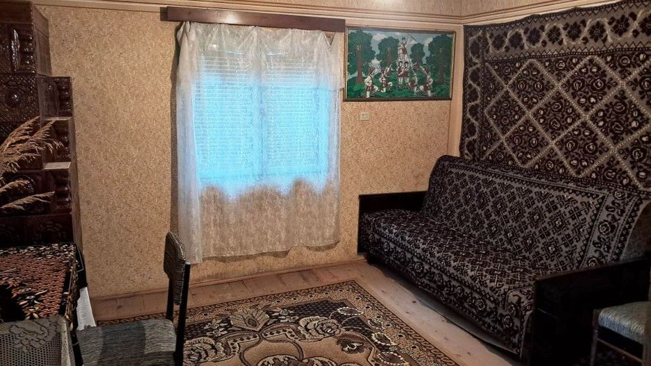 CASĂ SI TEREN BAIA DE FIER - Poză 10