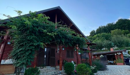 Casa de vanzare lemn Stefanesti - Enculesti
