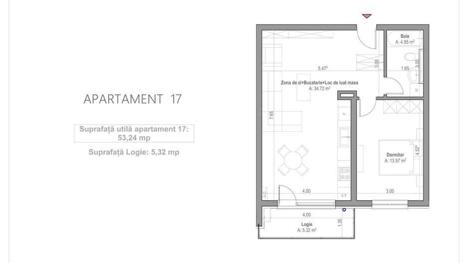 Apartament 2 camere Arad - Poză 14