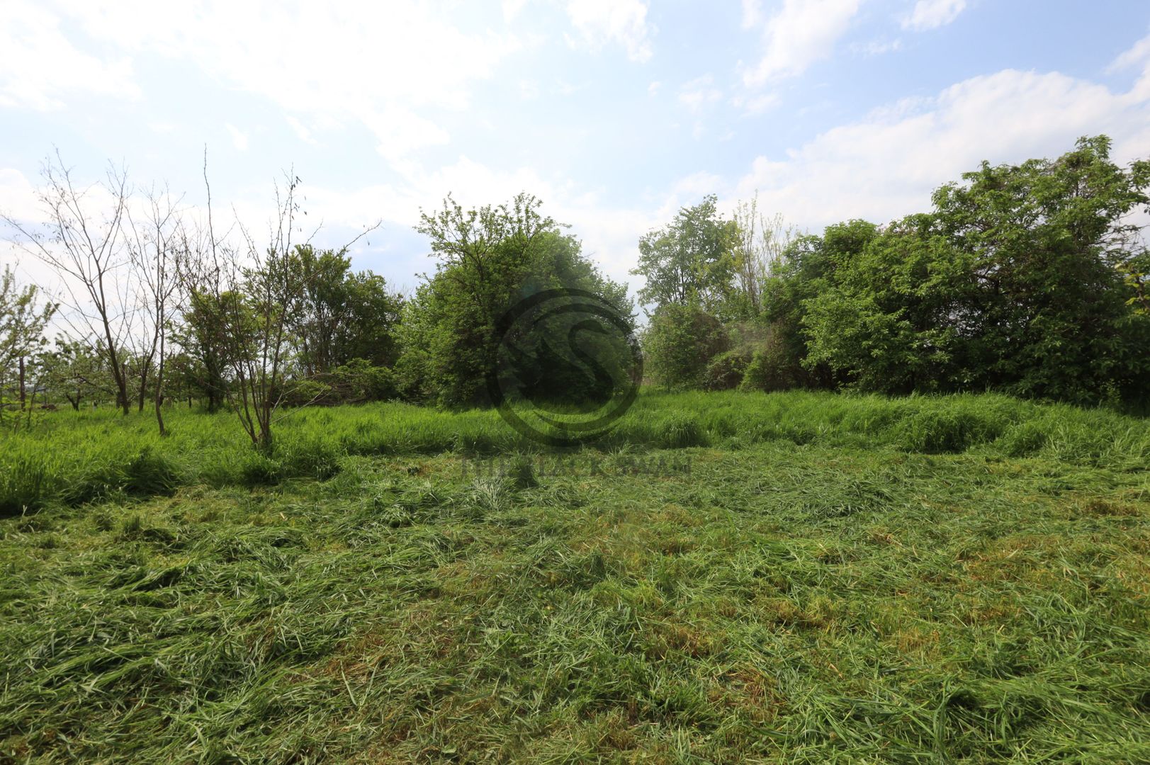 Teren si casa de vanzare | Habud - Sirna, Prahova | Comision 0% - Poză 12