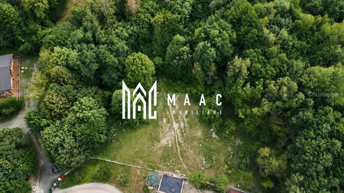 Teren intravilan 2.938 mp | Tocile, Sadu | pârâu natural - Poză 4
