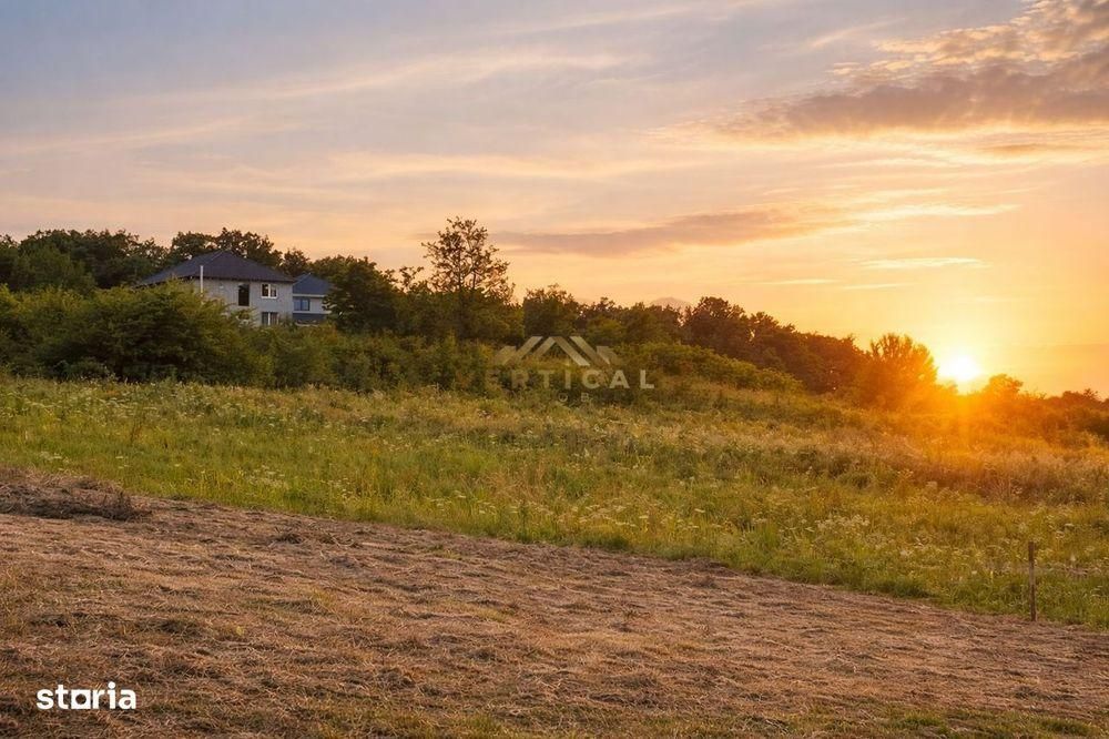 Loturi teren intravilan  Rate* 24/36 luni Mega Parc Berceni / Vidra - Poză 2