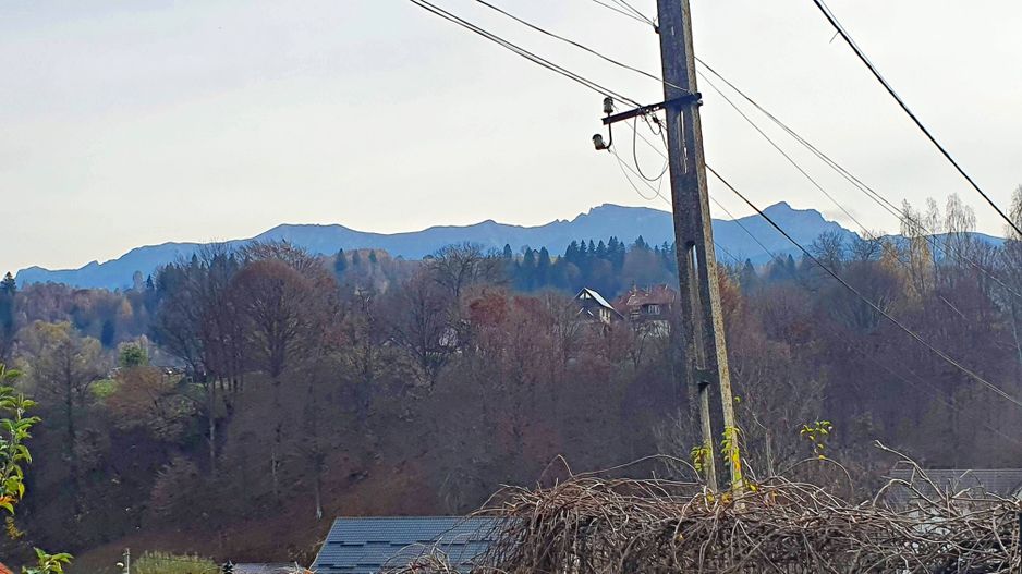 Bran Moeciu, pretabil pensiune sau dezvoltare imobiliară - Poză 7