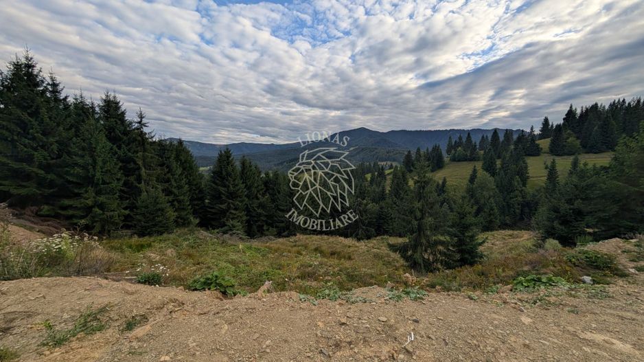 Parcele teren intravilan cu utilitati-panoramic-Colibita - Poză 1