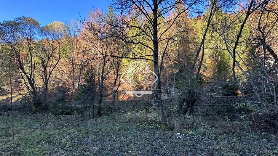 Teren 2.882 mp – oportunitate investitie - Cheile Dâmbovicioarei - Poză 8