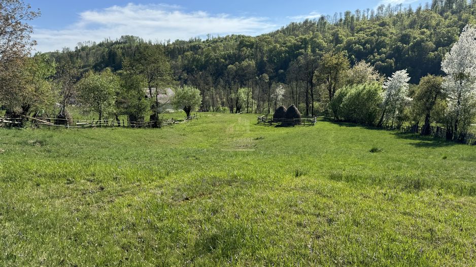 TEREN INTRAVILAN 2592 MP,  ALBESTI DE MUSCEL, ARGES - Poză 18