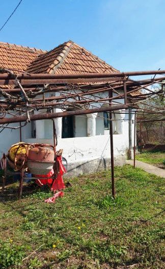 Casă cu hală industrială Drăguțești - Poză 4