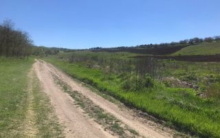 Spre vânzare , teren agricol, 15 ari, com. Bulboaca, Aneni Noi - Poză 6