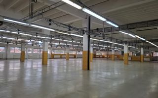 Hală de producție / depozitare – 1.300 mp utili, etaj 1, zona centrala - Poză 13