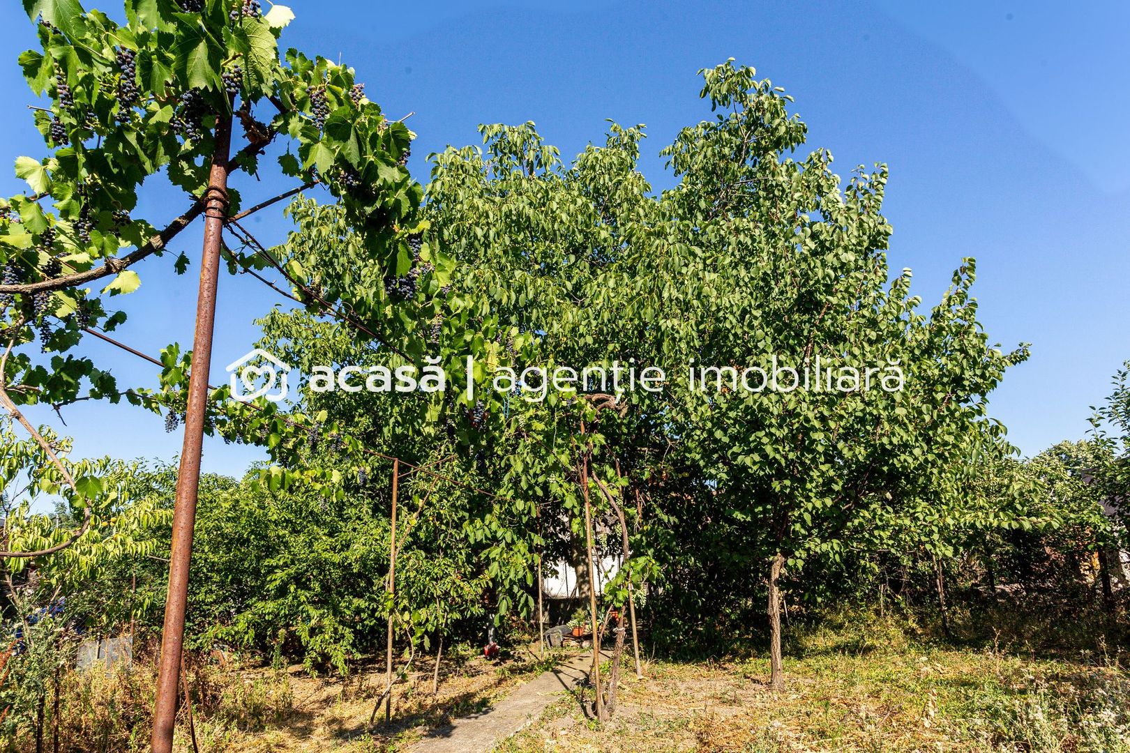 Oportunitate! Casă individuală în Pârneava. - Poză 9