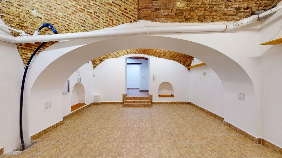 Casă cu șarm istoric lângă Cișmigiu – 6 camere, atrium natural, cramă - Poză 35